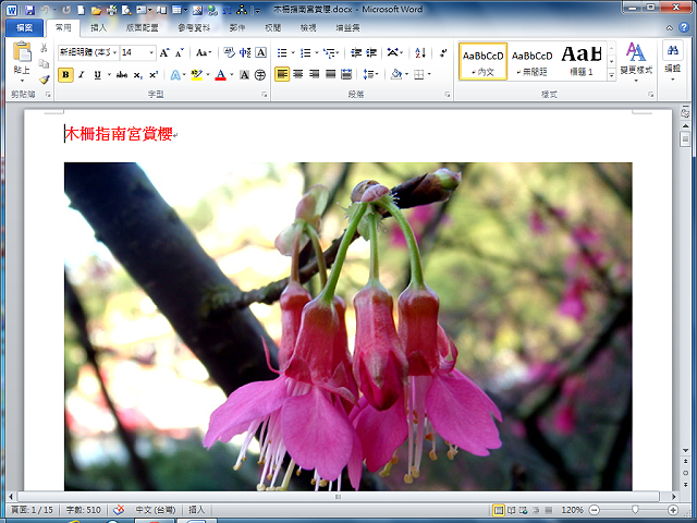 Word 2010 取出文件内的图片(方法一)